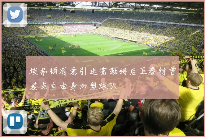 埃弗顿有意引进富勒姆后卫泰特曾差点自由身加盟球队